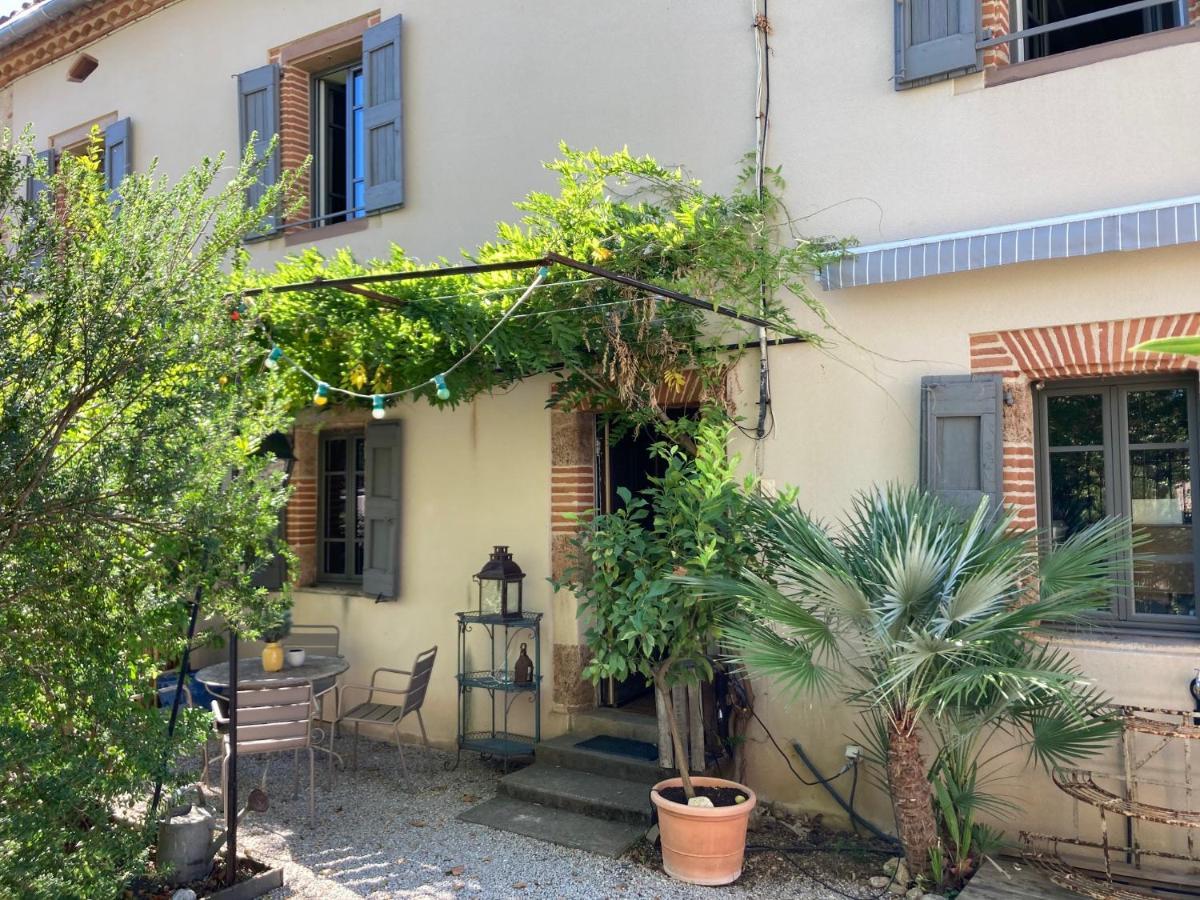 16 Bis-Gite-Hotel-Studio Marssac-sur-Tarn Εξωτερικό φωτογραφία