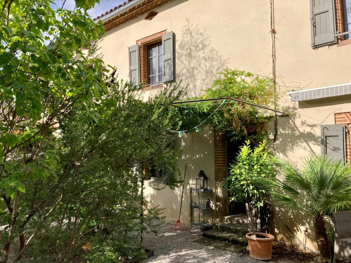 16 Bis-Gite-Hotel-Studio Marssac-sur-Tarn Εξωτερικό φωτογραφία