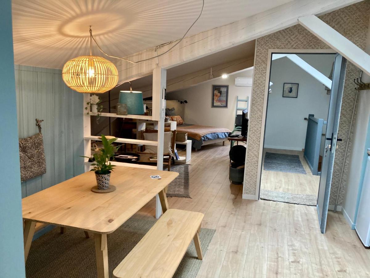 16 Bis-Gite-Hotel-Studio Marssac-sur-Tarn Εξωτερικό φωτογραφία