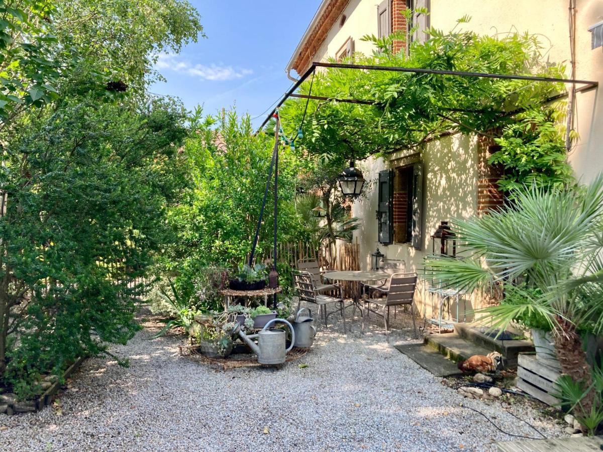 16 Bis-Gite-Hotel-Studio Marssac-sur-Tarn Εξωτερικό φωτογραφία